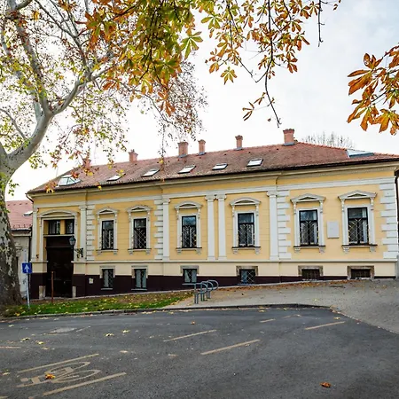 Zsolnay Πετς